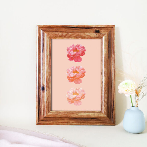 plakat Piwonia coral charm